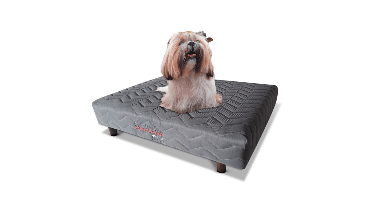 Base Cama Box Pet Cachorros e Gatos - Orthocrin