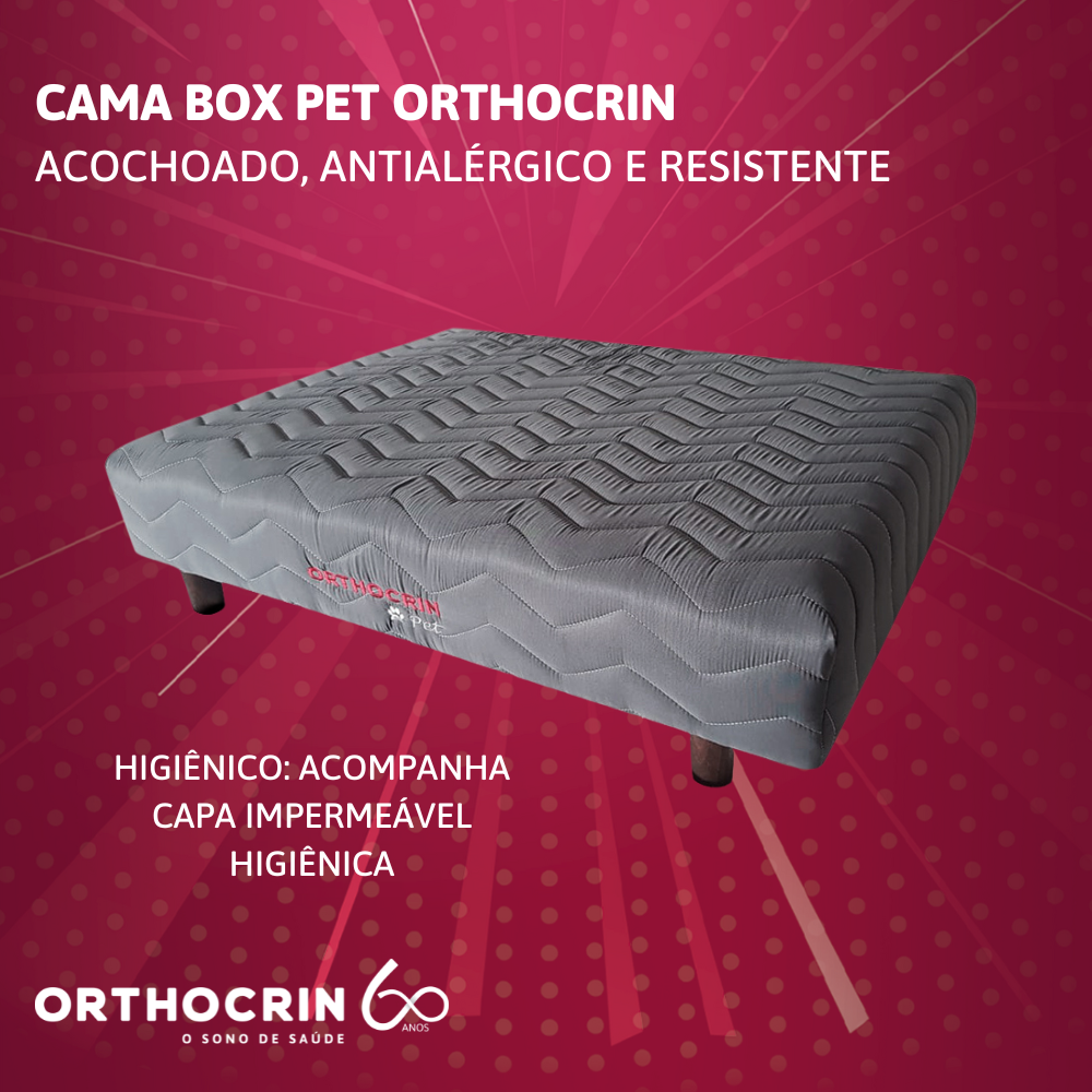 Cama Box Pet de Espuma para Cachorro - Orthocrin