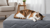 Base Cama Box Pet Cachorros e Gatos - Orthocrin