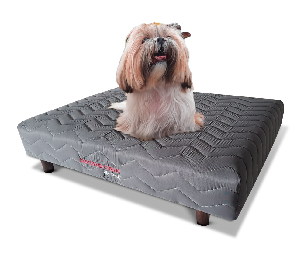 Cama Box Pet de Espuma para Cachorro - Orthocrin