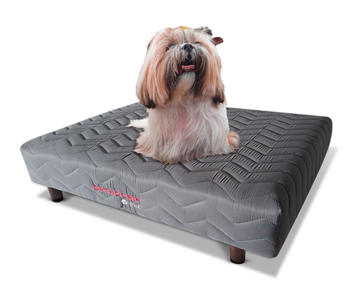 Cama Box Pet de Espuma para Cachorro - Orthocrin