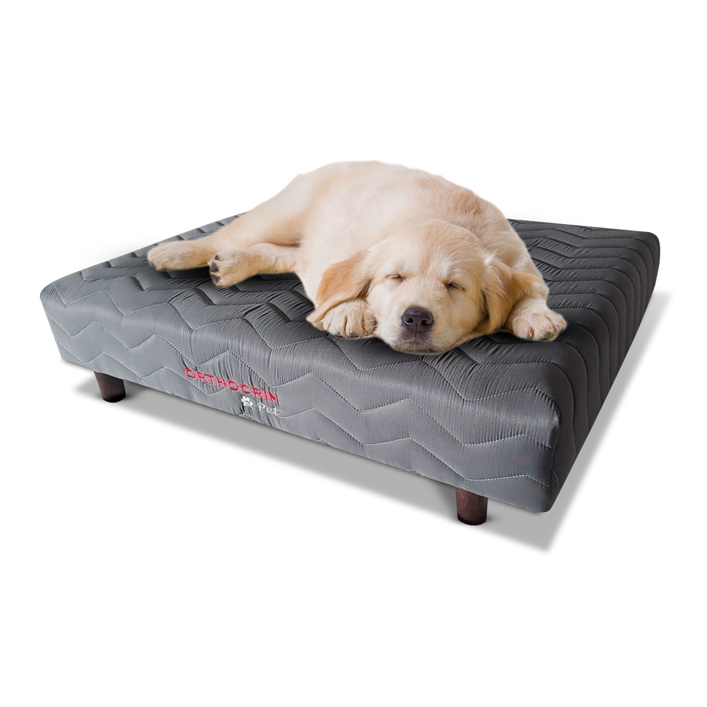 Cama Box Pet de Espuma para Cachorro - Orthocrin